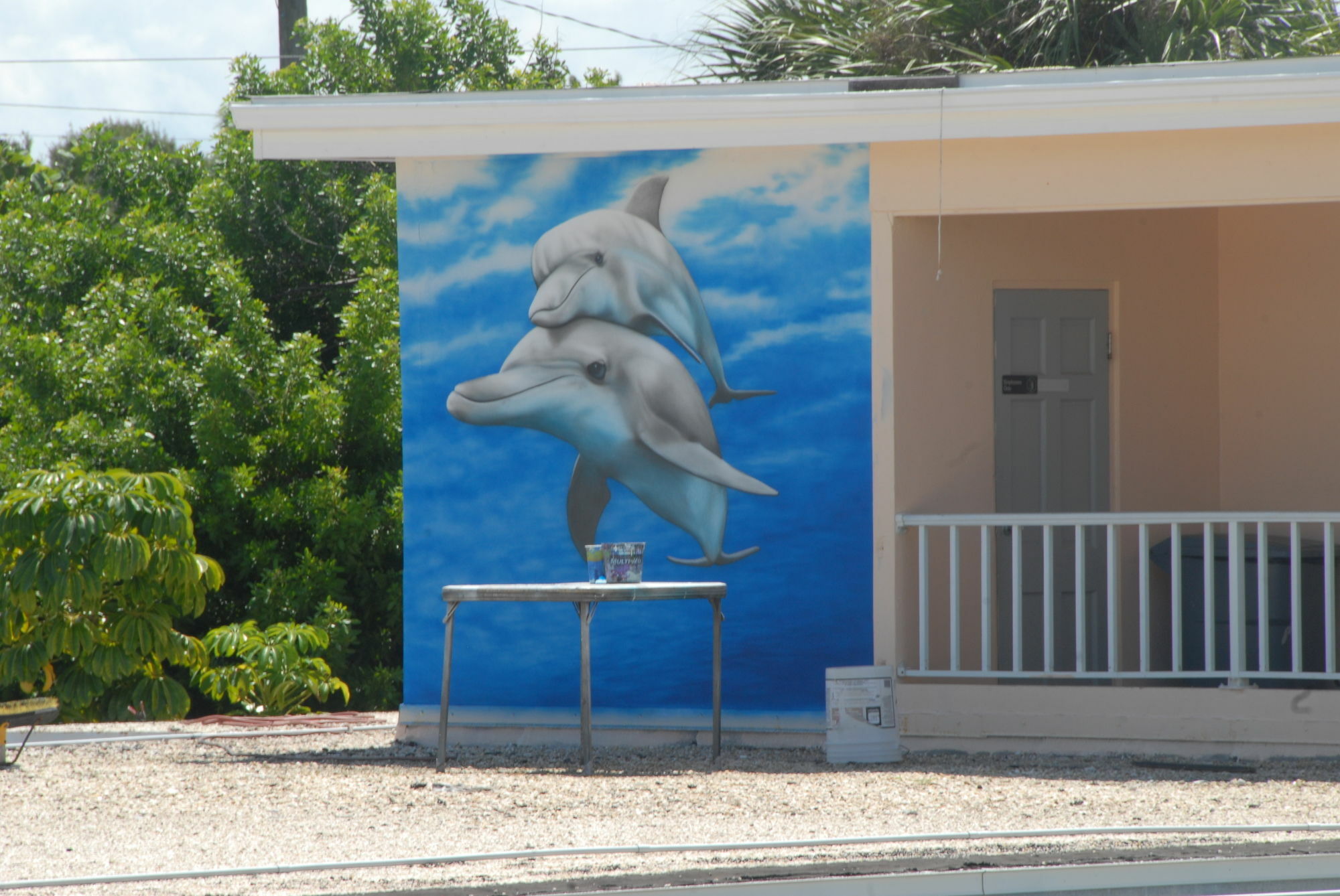 Belleair Beach Resort Motel Clearwater Beach Eksteriør billede